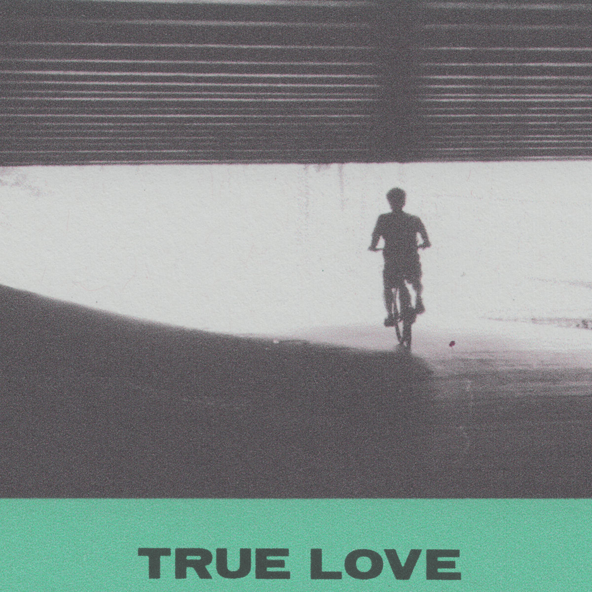 Hovvdy – True Love album cover