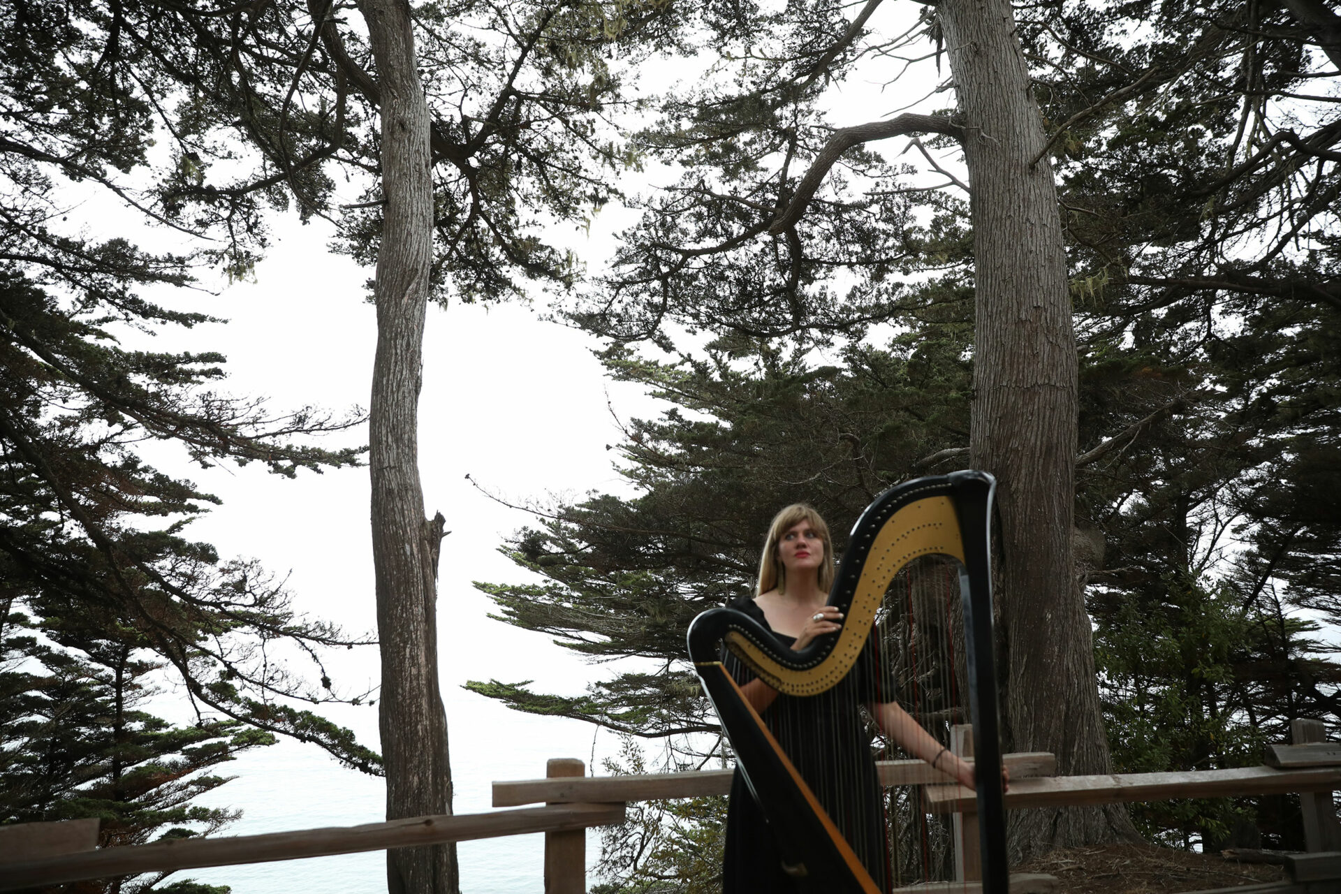 The Rates Mary Lattimore shares her underrated artists, old and new