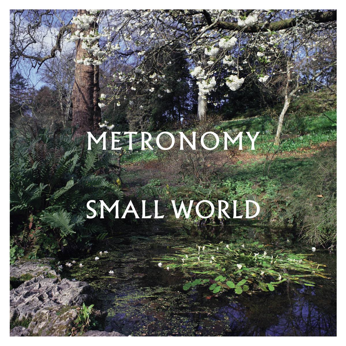 Metronomy Small World