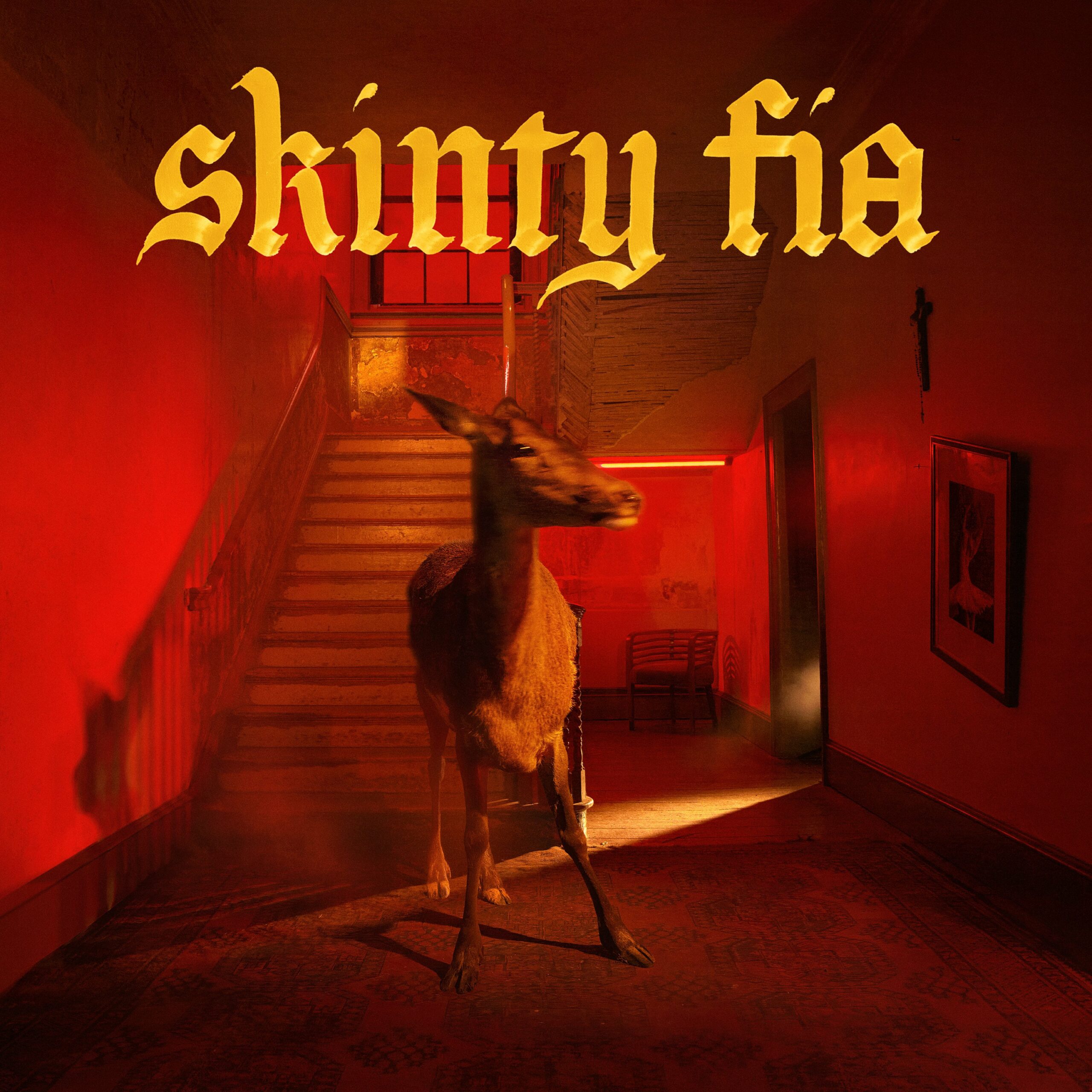Fontaines D.C. – Skinty Fia album artwork