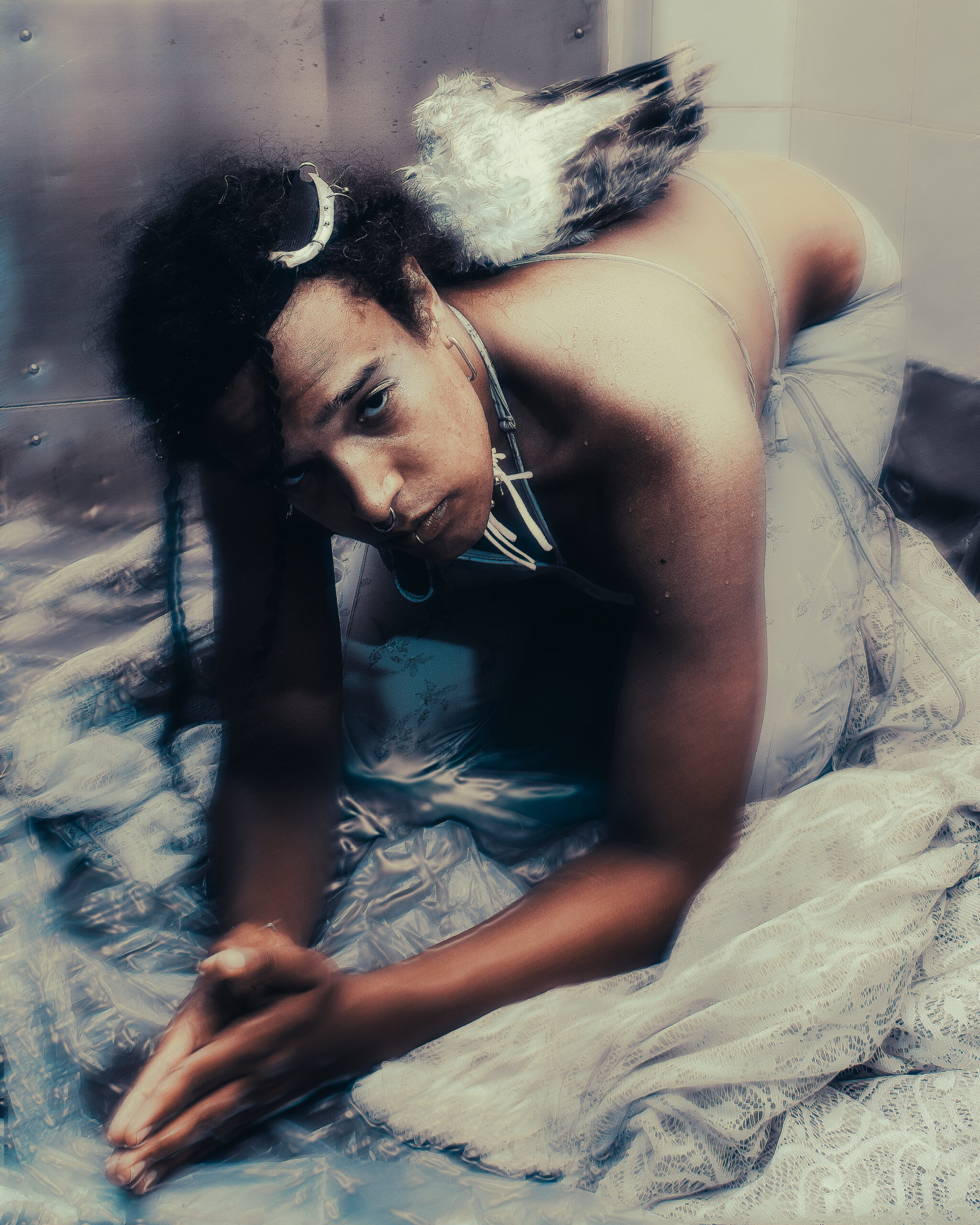 Iceboy Violet